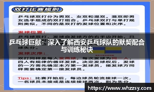 乒乓球巨献：深入了解西安乒乓球队的默契配合与训练秘诀