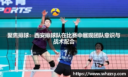 聚焦排球：西安排球队在比赛中展现团队意识与战术配合