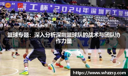 篮球专题：深入分析深圳篮球队的战术与团队协作力量