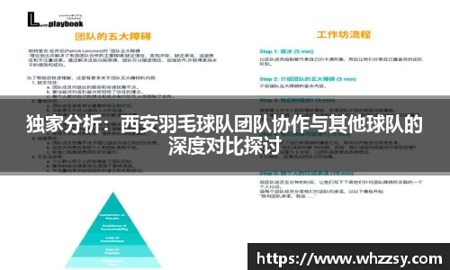 独家分析：西安羽毛球队团队协作与其他球队的深度对比探讨