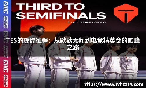 TES的辉煌征程：从默默无闻到电竞精英赛的巅峰之路