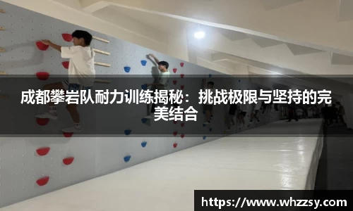 成都攀岩队耐力训练揭秘：挑战极限与坚持的完美结合