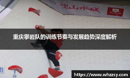 星空·综合体育官方网站