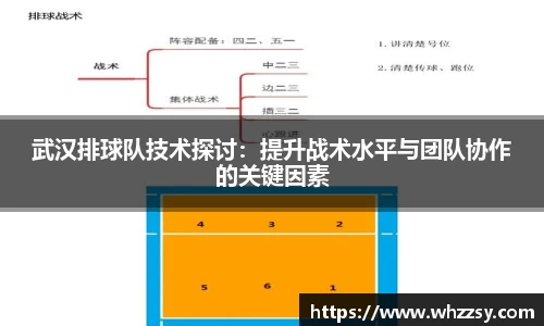 星空·综合体育官方网站